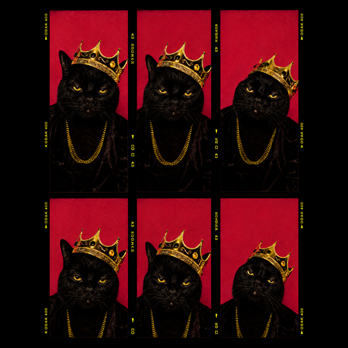 Black Cat King Shirt | Vintage Crowned Cat Graphic Tee